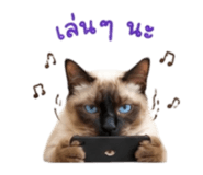 869348688