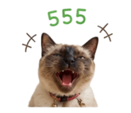 869348707