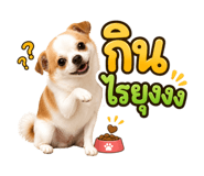 869354129