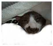 869429280