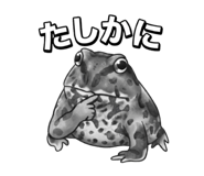 869444385