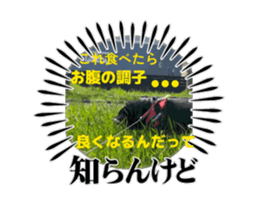 869446858