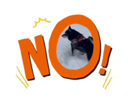 869446864