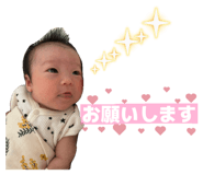 869487004