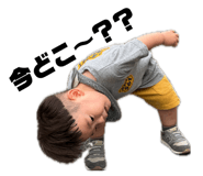 869487008
