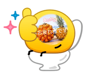 869520133