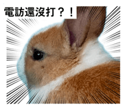 869599863