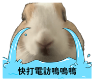 869600079