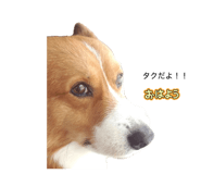 869606538