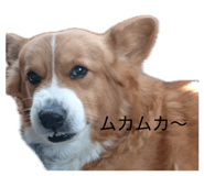 869606541