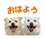 869607195
