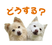 869607198