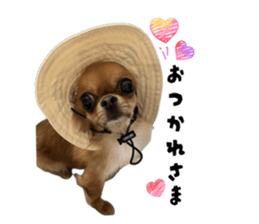 869610021