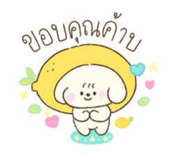 Cookie Daily Vol.1 4