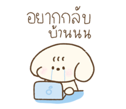 Cookie Daily Vol.1 18