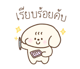 Cookie Daily Vol.1 29