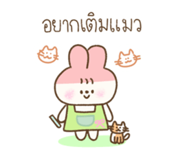 Cookie Daily Vol.1 37