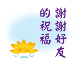 86962183