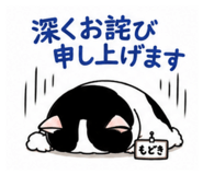 869664543