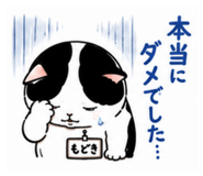 869664546