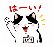 869665713