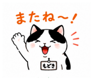 869665720
