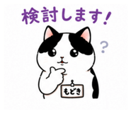 869665726