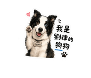 869799435
