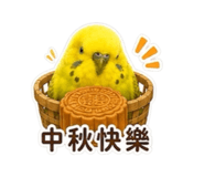 869837306