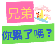 869837882
