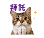 869849298