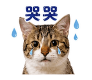 869849305
