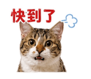 869849310