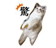 869856883