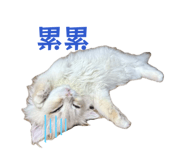 869856886