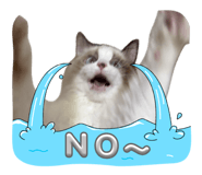 869856890