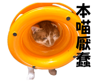 869866843