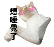 869866861