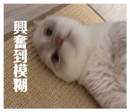 869871978