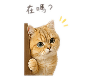 869882678