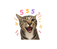 869942506