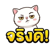 869970856