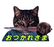 870033016