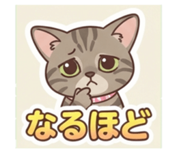 870099047