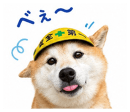 870102886