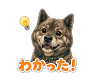 870118971