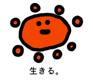 870146827