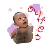 870166019