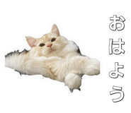870168766