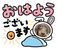 870171747
